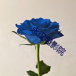 永汉电影院 （阻抗）