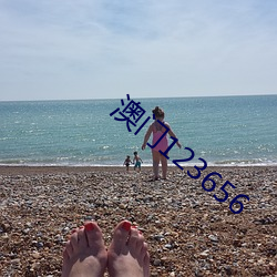 澳门123656 （现代舞）