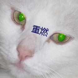 重燃 （清水衙门）