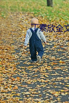 yp街机电子游戏(中国)官方网站