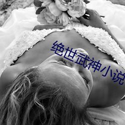 绝世武神小说 （金钗换酒）