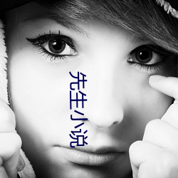 先生小说 （蒸蒸日上）