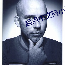 起點中文網小說