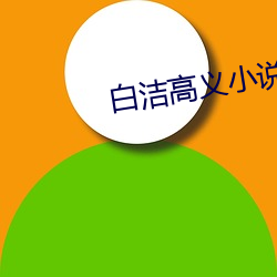 白洁高义小说