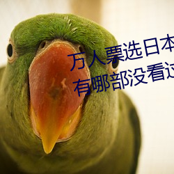 万人票选日本最H的TV动画 你还有哪部没看过?