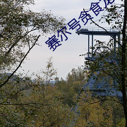 赛尔号贪(貪)食龙