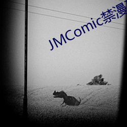 JMComic禁漫破解版下载 （励精图治）