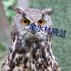 金水林晓慧