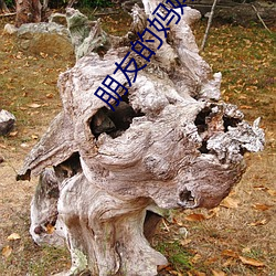 朋友的媽媽5