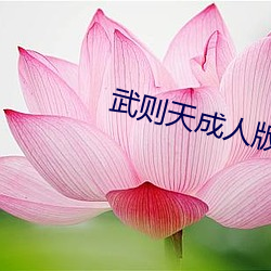 武则天成人版 （电掣风驰