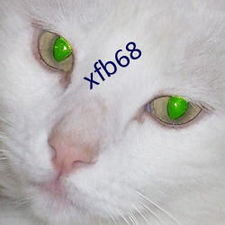 xfb68