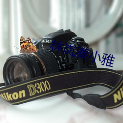 林岚秦小雅