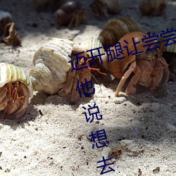 迈开腿让尝尝你的森林是什么意思 他说想(xiǎng)去没人的地方蹭我