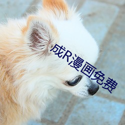 成R漫画(huà)免费(fèi)