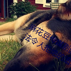 麻花豆(豆)传(傳)媒剧国产(産)MV在线观看(看):一(一)款无法令人拒绝的追剧(劇)利(利)器(器)