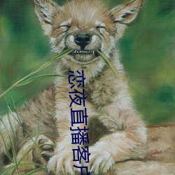 戀夜直播客戶端