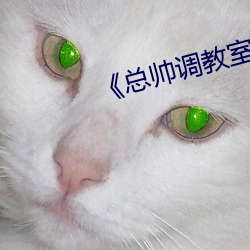 《總帥調教室的秘密》