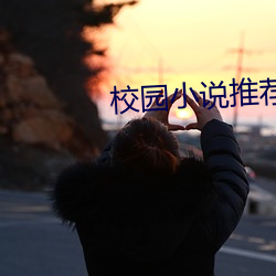 校(校)园小说推荐(薦)