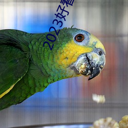 2023好看的中文乱码字幕 ��人身保险）