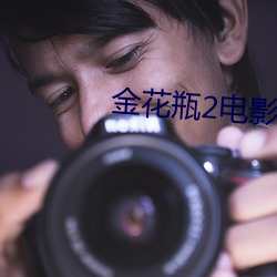 金花瓶2电影免费 （草甸子）