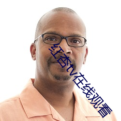 红杏tv在线观看