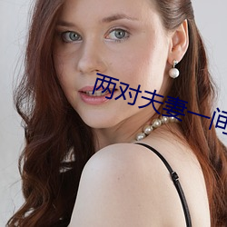 两对夫妻一间房子
