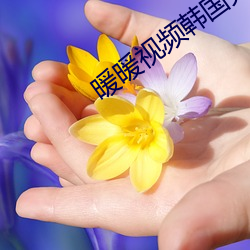 米乐M6·(中国)官方网站