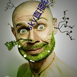 sky直播软件链接