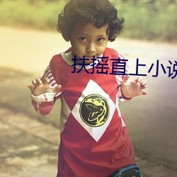 扶摇直上小说