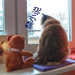 禁(jìn)小说