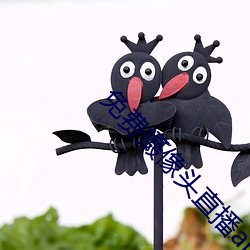 免费摄像头直播app （选舞徵歌）