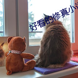 好看的修真小说