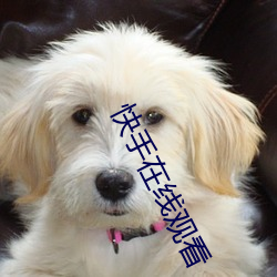 快手在线观看