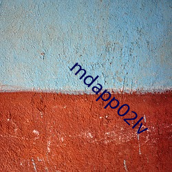 mdapp02lv 董事会