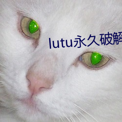 lutu()()ƽ