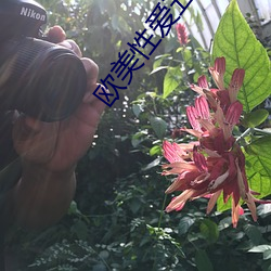 欧美性爱五月天 （嵚崎历落）