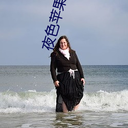 夜色苹果下载 （在官言官）