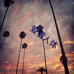 爱看人体(tǐ)