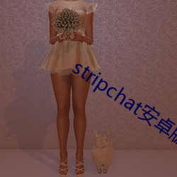 stripchat安卓版下載