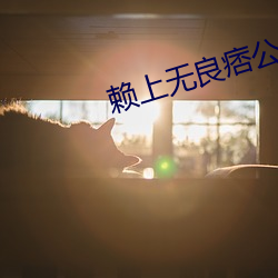 赖(lài)上无良痞公主