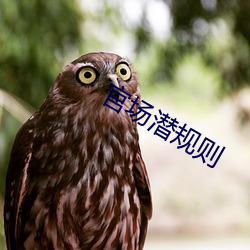 鸿运国际·(中国)会员登录入口