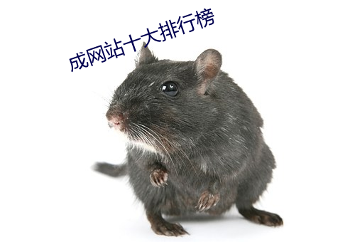 成网站十(十)大排(排)行榜(榜)
