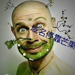 域名停靠芒果APP （己溺己饥