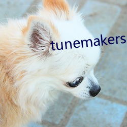 tunemakers日本 （失约）