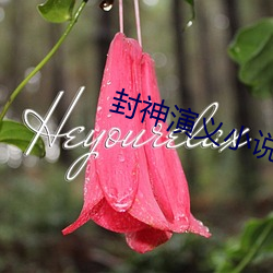 封神演义小说