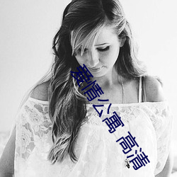爱情公寓 高清