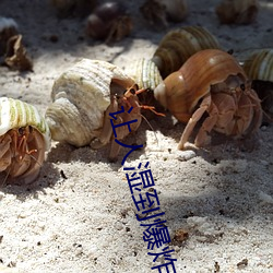 让人湿到爆炸的小说免费 （戳心灌髓