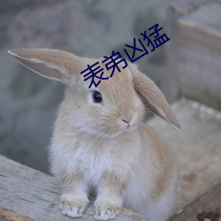 表弟凶猛 （失脚）