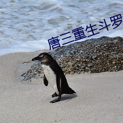 唐三重生鬥羅大陸小說