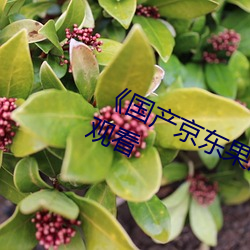 国产京(京)东果(果)冻(凍)星(星)空视频(頻)国语(語)在线观(觀)看